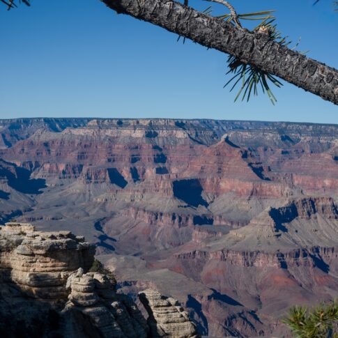 Arizona (USA), december 2025, Grand Canyon - South Rim. © Kees Hennen; www.hennen.nu | kees@hennen.nu